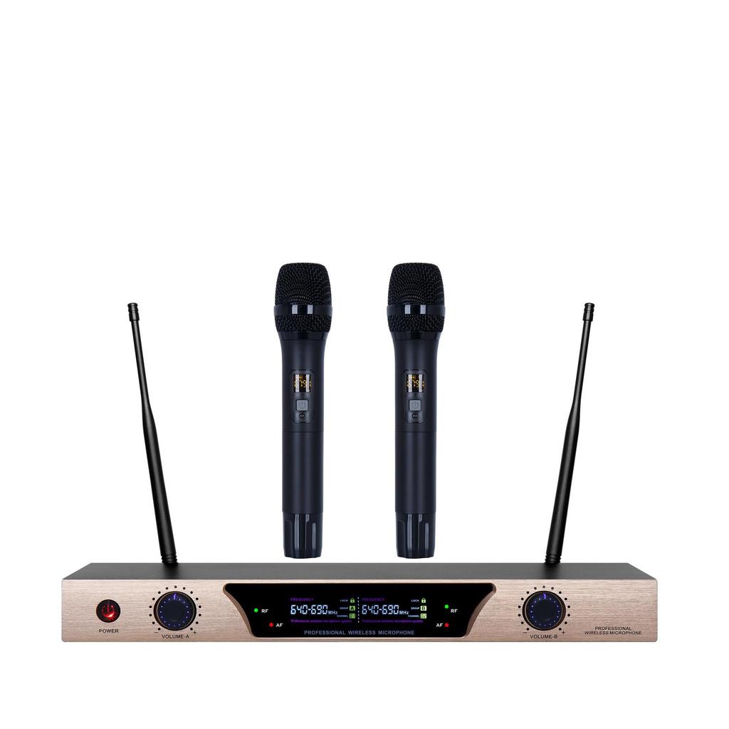 U3 Dual-Microphone Wireless Microphone System for Home KTV Use Wireless Headset Microphone with Lapel Clip