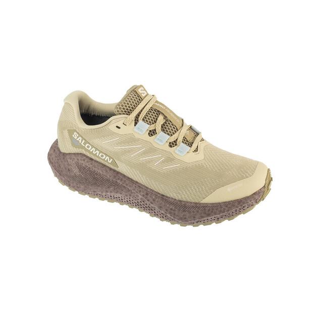 

Беговые кроссовки Salomon Aero Blaze 3 Grvl Gtx W EU 40