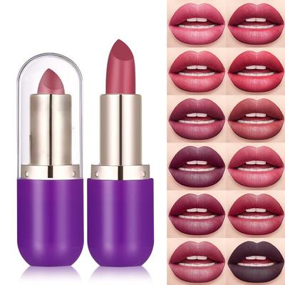 Transfer Proof Lipstick Matte Finish Natural Look Waterproof Lip Color Long Wearing Everyday Lip Stain