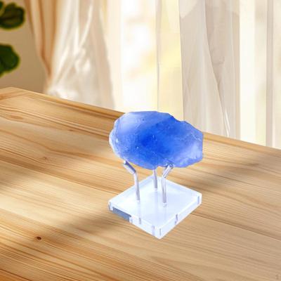 Metal Arm Display Palette with Acrylic Base Mineral Holder for Coral Rocks