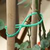 100Pcs Reusable Plant Cable Ties Plant Stem Clip  For Plants Vine Shrubs Support Fastener Organizer