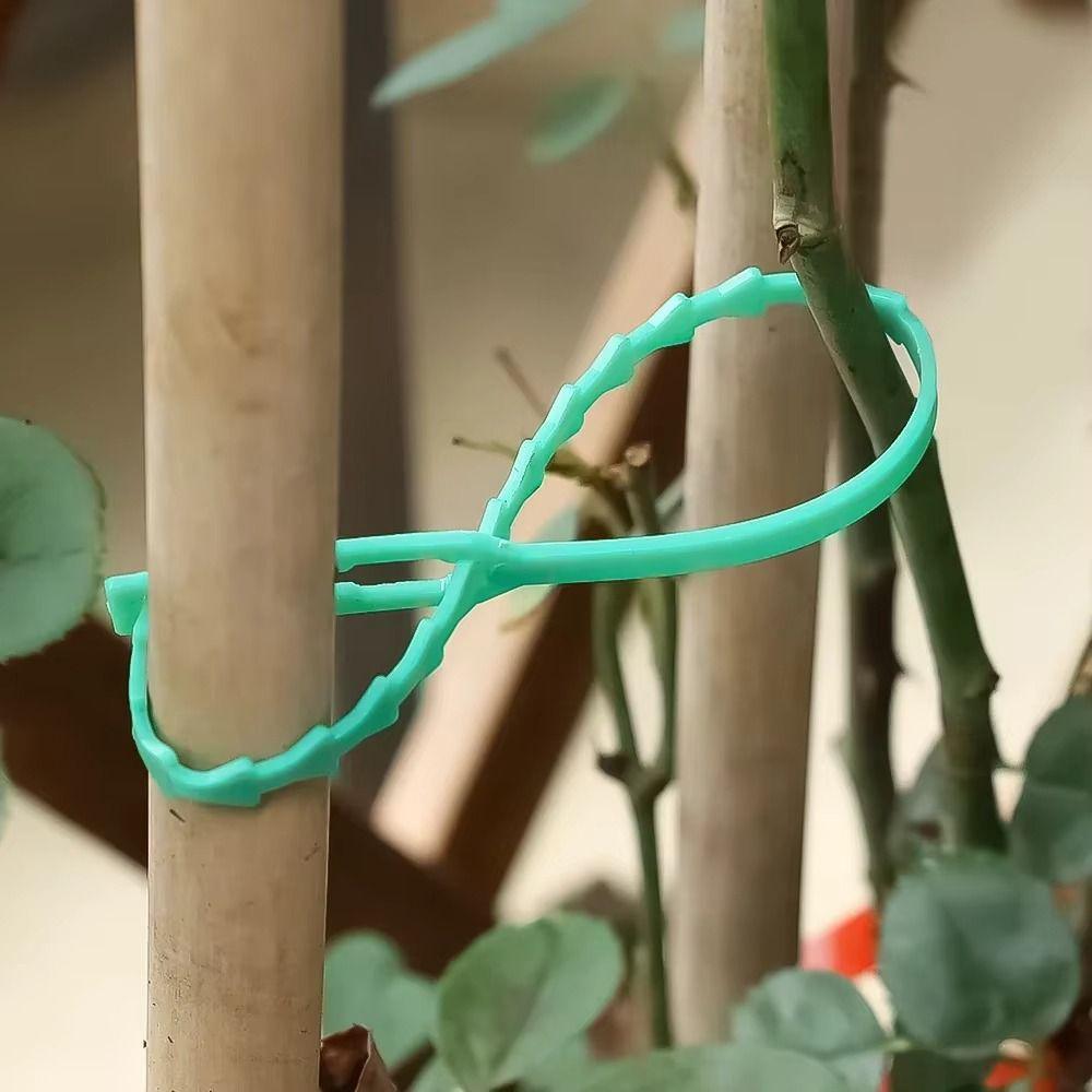 100Pcs Reusable Plant Cable Ties Plant Stem Clip  For Plants Vine Shrubs Support Fastener Organizer