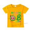 Cocomelons Kids Short Sleeve T-shirt Number 1-9 Cartoon Birthday Children Clothing Summer Sportswear Tshirt Boys Colorful Tee