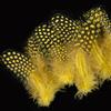50pcs Small Size Natural Feathers Spotted Pattern Real Plumes Fowl Feathers Multicolo Natural Color Pheasant Plumes Eyelashes