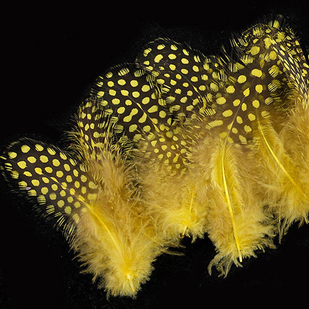 50pcs Small Size Natural Feathers Spotted Pattern Real Plumes Fowl Feathers Multicolo Natural Color Pheasant Plumes Eyelashes