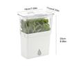 Creative Anti-Crush Fresh-Keeping Box for Vegetables & Cilantro