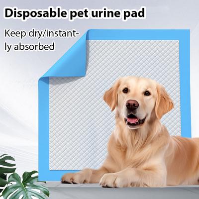 Köpek – Köpek bakım ürünleri