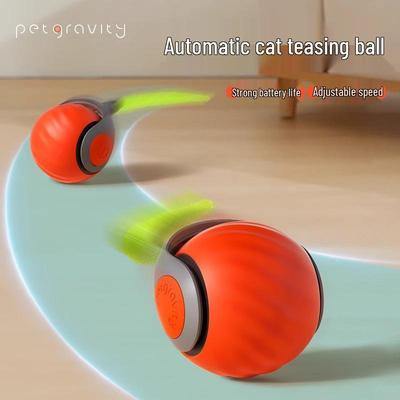 Gatti – Giocattoli per gatti
