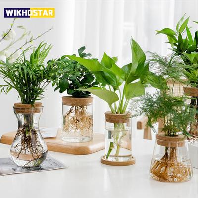 1 adet Şeffaf Hidroponik Saksı Cam Topraksız Yetiştirme Saksı Yeşil Bitki Saksısı Ev Vazo Dekorasyonu