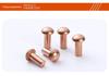 GB867 Semi-Round Head Purple Copper Rivets - National Standard Solid Copper Nails, Round Head, Ample Stock.