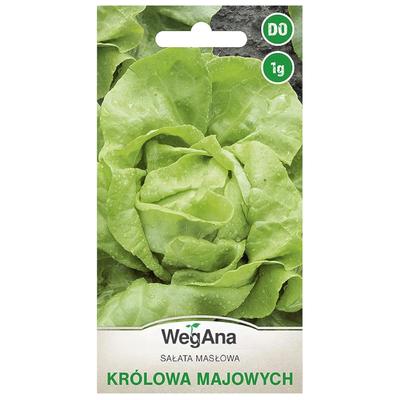Salatsamen der Maikönigin 1g Salatsamen -