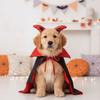 Stand Collar Pet Bat Costume Horns with Ear Holes Dog Purple Cloak Soft Satin Fabric Lightweight Cat Gothic Headband