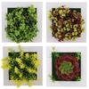 Fiore artificiale pianta grassa arte appesa a parete cornice vivente decorazione della casa