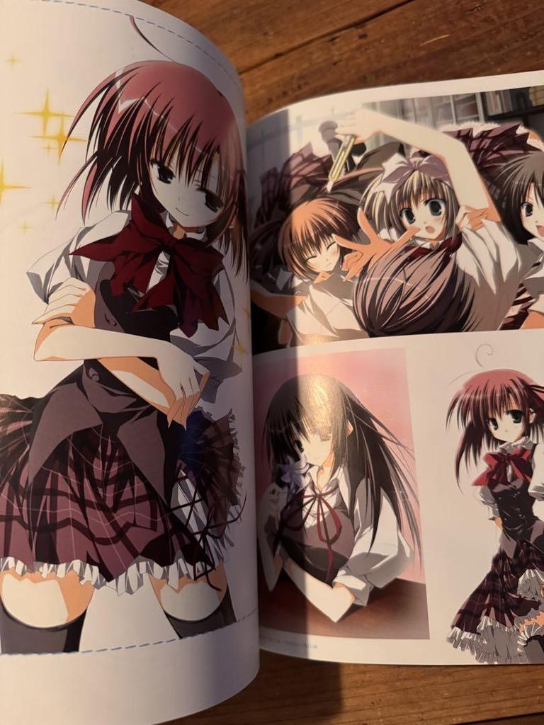 [USED] Rare First Edition with Obi, Seitokai No Ichizon, Inugami Akira Art Collection, Illustration Collection, Anime Game Poster