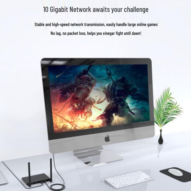 Shengwei CAT6A 10 Gigabit Slim Ethernet Patch Cable