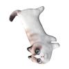 Cotton Cat Printed Throw Pillow Soft and Comfortable Toy Cushion with 3D Eyes Present for Girlfriend Home Decor
