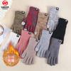 Double-layer Fleece Thickened Thermal Gloves Adult Knitted Gloves Cycling Outdoor Cold-proof Touch Screen Winter Gloves