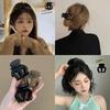 1PZ Pinza per Capelli in Acrilico Opaco a Forma di Zucca Semplice per Coda di Cavallo Alta Mini Testa a Sfera Accessori per Capelli