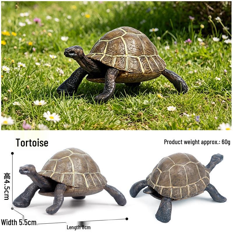 Children's Cognitive Marine Animal Models: Sea Turtle and Tortoise Toys