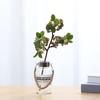 Simulation of small fine fruits, Mizailan flower arrangement materials, Milan fruit home furnishing living room interior decoration fruit branches