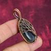 Tree Of Life Labradorite Gemstone Pendant Copper Wire Wrapped Handmade Jewelry