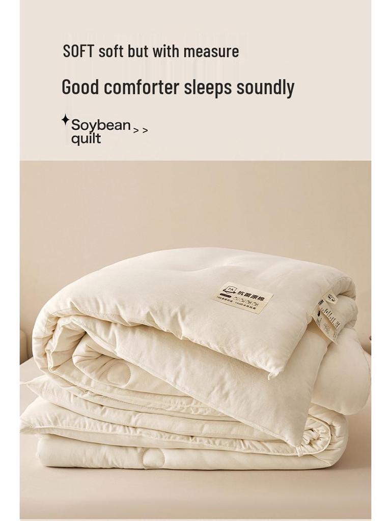 Soybean Fiber Comforter: Year-Round Cozy Quilt for Home or Gift