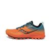 Peregrine 10 St Trail Running Shoes Men Sneakers Orange Blue S20568-25