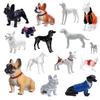 Cães – Brinquedos para cães