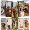 Labrador Golden Retriever Dog Case For Realme 12 11 10 9 8 5G 7 6 GT5 GT3 GT2 Pro C21 C25 C35 For Realme GT Neo 2 3 3T 5 Cover