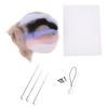 Cute Chubby Capybara Gray Fish Beginner Material Kit Wool Felt Handmade Diy Doll Plush Toys Desktop Decorations