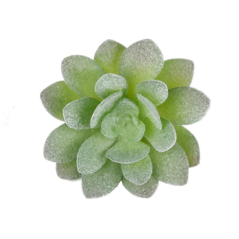 

Зеленые растения Суккуленты, Маленькие цветы-самоцветы, Офис, Декоративные суккуленты Зеленые растения Цветы Имитация суккулентов