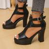 Fashion New Summer Sandals Women Round Toe Open Toe Cutout Platform Platform Fish Mouth Versatile High Heel Block Heel Shoes