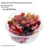 Chixing Disposable Clear Plastic Fruit Packaging Container with Lid
