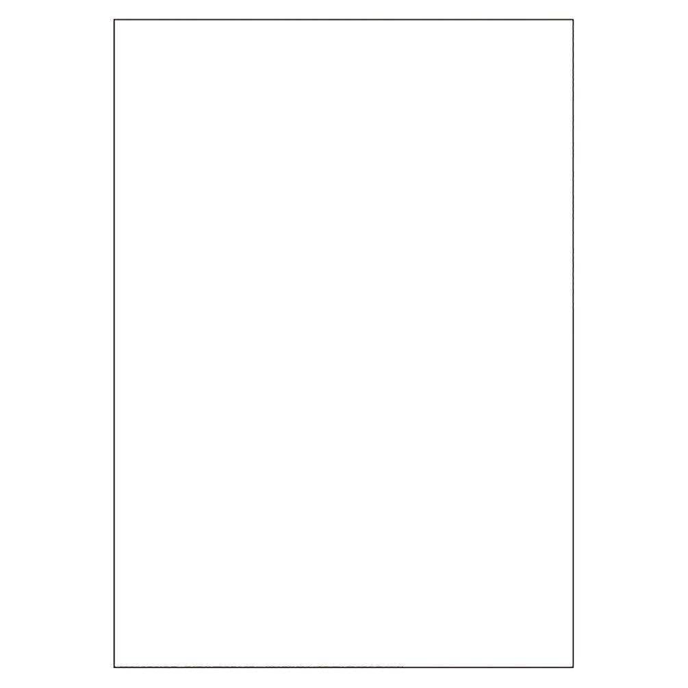 Maruman Report Pad, Blank, A4 Size, Set of 5, P143A