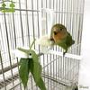 Korela Andulka Plastová Klec na Zeleninu Příslušenství Držáky na Krmivo pro Domácí Ptáky Krmící Klip Krmítko pro Papoušky Klip na Sépiovou Kost