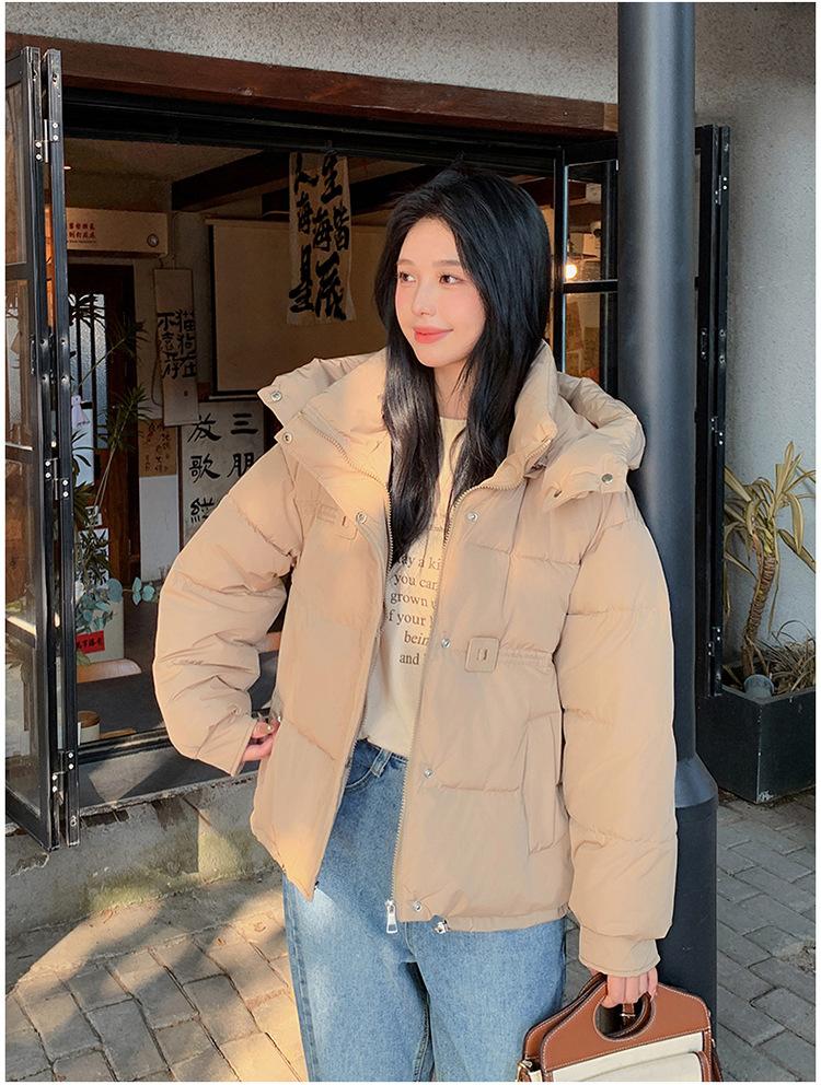 Women's Autumn and Winter Coat Hooded Short Solid Color Loose Thickened Windproof Women's Jacket