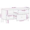 VidaXL Meuble TV 100x33x46 cm bois massif de manguier, support TV, armoire média, armoire hifi, unité TV, meuble multimédia, 358264