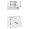 Bathroom Furniture Set 2 Pcs High Gloss White Plywood and Metal