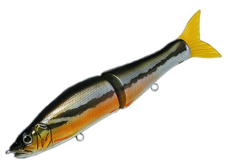 

GAN CRAFT Ayuja Jointed Claw Kai 148 F Spawn Dace #12