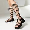 New  Shoes Cross-strap High-top Sandals Retro Roman Shoes Platform Thick Heel Rear Zipper Cool Boots