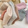 Women Leisure Comfortable Socks 5 Pairs New Autumn Winter Plush Thick Warmth Fashionable Versatile Women Socks