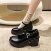 French Mary Jane shoes platform 2025 new British retro high-heeled single shoes Japanese JK muffin small leather shoes women