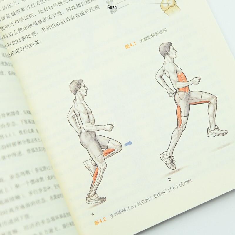 Triathlon Sports Anatomy Illustrated