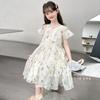Girls' dress 2026 summer new children's summer dress, mid size princess dress, stylish children's clothing trend