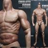ZC Toys 1:6 Scale Muscular Figure Body Fit For 12\ Hot Toys Head SCULPT