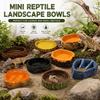 Tree Stump Shape Reptile Feeding Bowl Multicolor Reptile Bathtub  for Tortoises