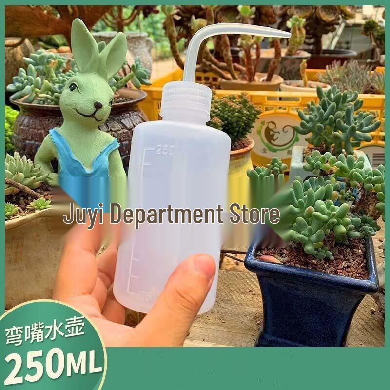 Stainless Steel Long Spout Watering Can for Indoor Pothos and Plant Care
