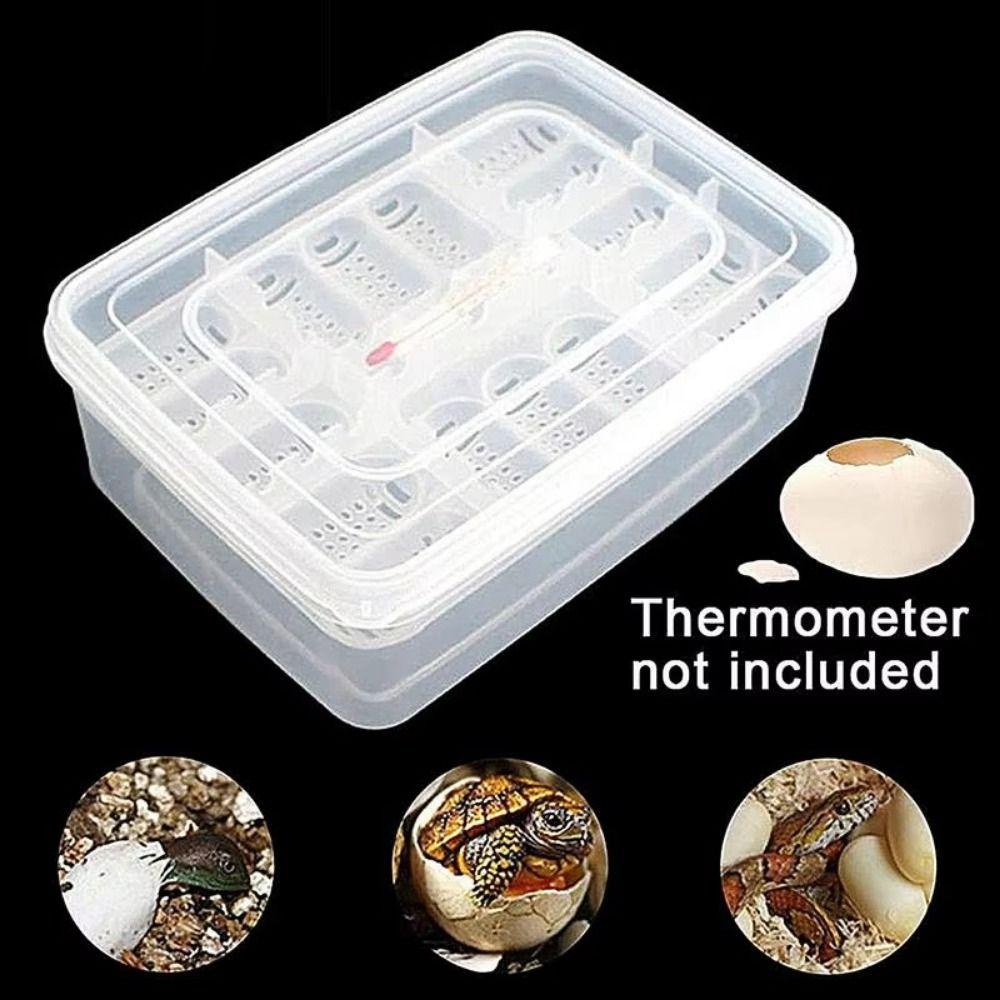 Transparent Turtles Egg Incubator Tray with Thermometer Crawler Incubation Case Development