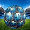 1pc Oceanic Dolphins Theme Soccer Ball Football, Size 5, Lightweight PVC, Outdoor Training Soccer Ball,Sports Gift t61422