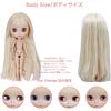 Icy Fortune Days 1/6 30cm BJD Doll Body Only Cute Practice Doll 4 Color Eye Change Hand Swap